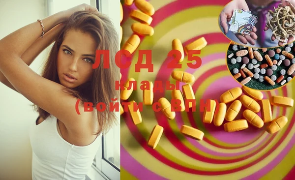 spice Баксан