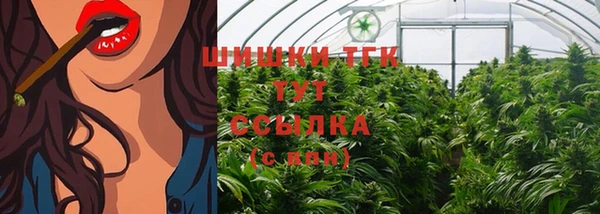 spice Баксан