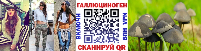 darknet Telegram  Прохладный  Галлюциногенные грибы Psilocybine cubensis  что такое  